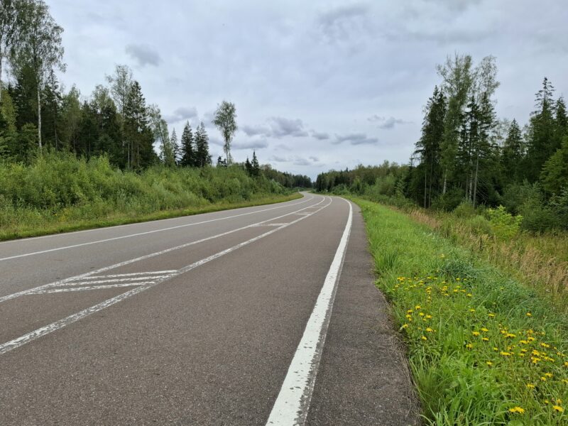 Дорожки в парке Парк Патриот, состояние на 22 августа 2025 по отзыву, фото 1. 